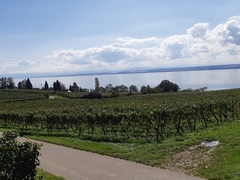 Im Herbst 2019 (3)